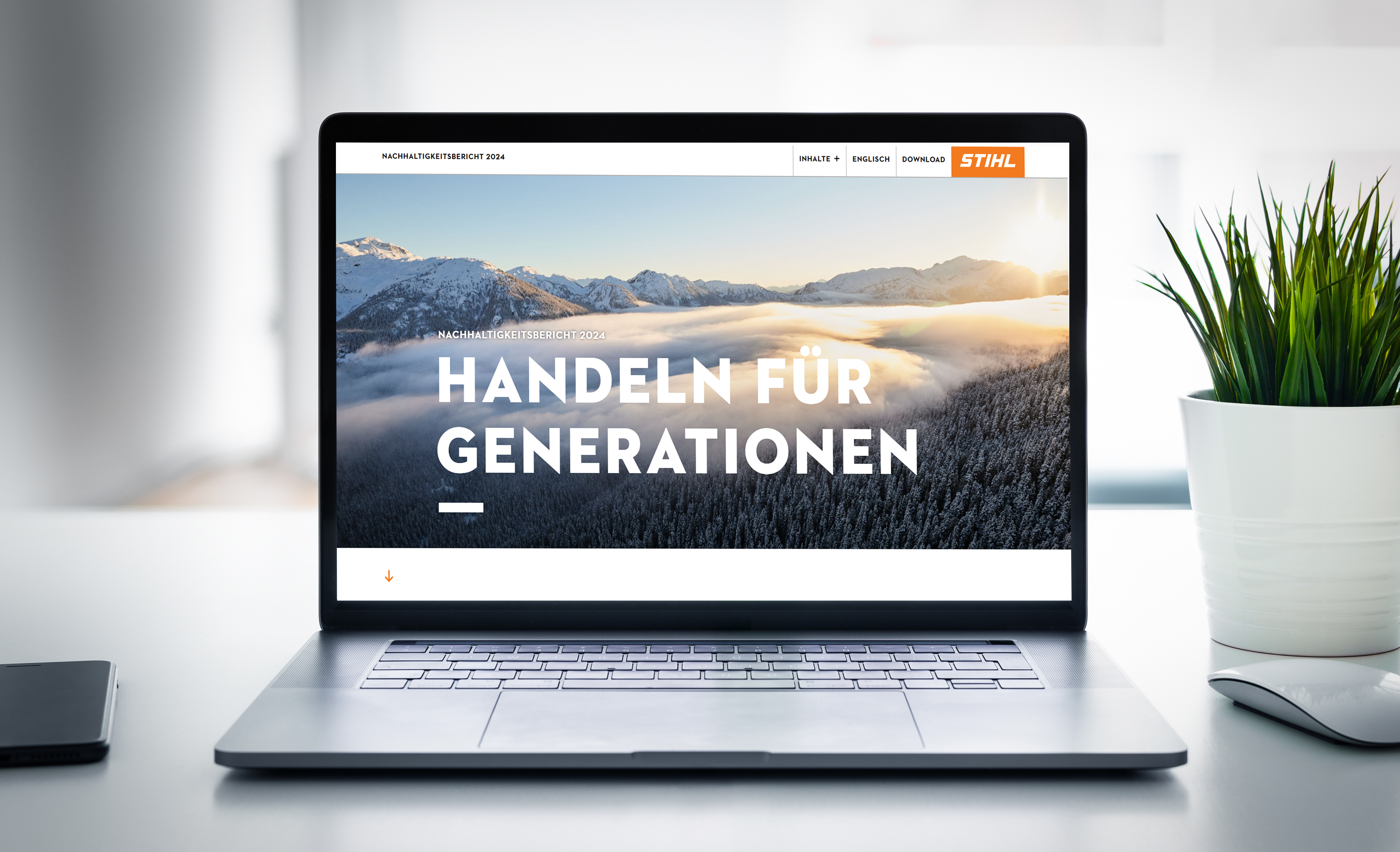 Neue Transparenz in der Aufforstung – STIHL veröffentlicht  Nachhaltigkeitsbericht 2024
