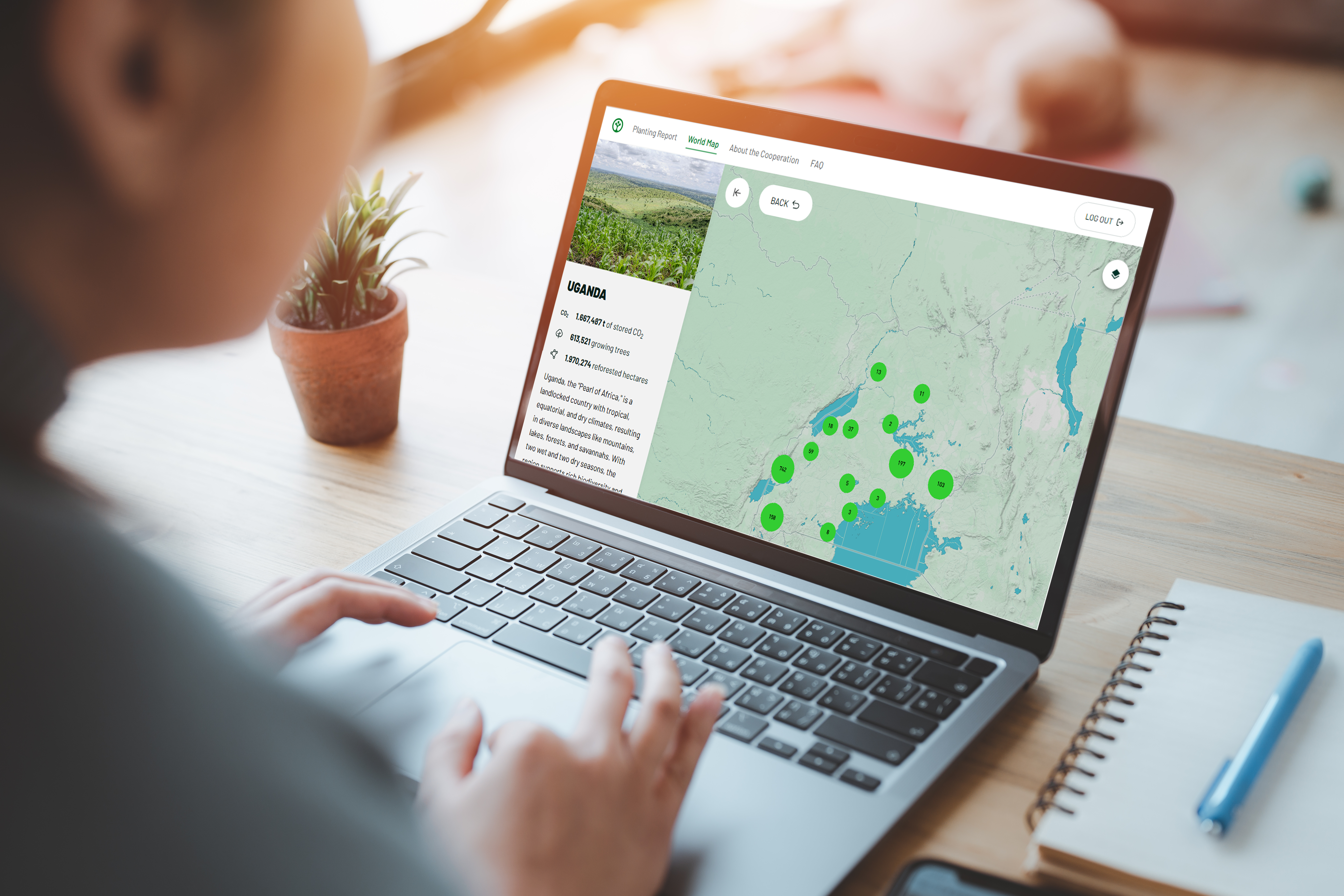 Neue Transparenz in der Aufforstung – STIHL veröffentlicht  Nachhaltigkeitsbericht 2024